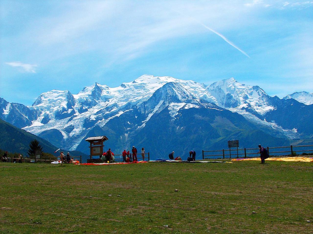 Les Edelweiss Mont-Blanc - Gite Classe 3 Etoiles Passy  Bagian luar foto